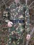 ind12-3s.jpg (4578 bytes)