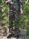 bdfps.jpg (7505 bytes)