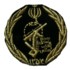 iran8s.jpg (57864 bytes)